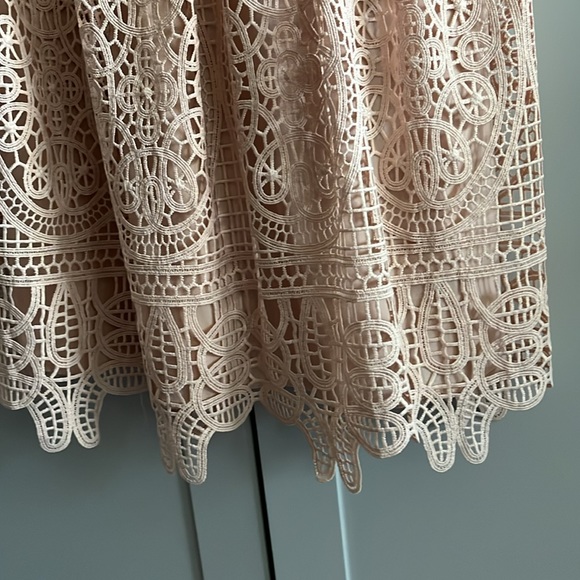 NWT Francescas Dress - Picture 3 of 4